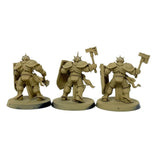 (3670) Liberators Regiment Stormcast Eternals Age Of Sigmar Warhammer