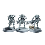 (3648) Warriors Squad Necrons Warhammer 40k