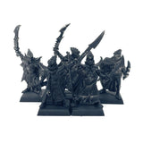 (3190) Corsairs Regiment Metal Dark Elves Cities Of Sigmar Warhammer