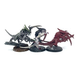 (3326) Warriors Brood Tyranids Warhammer 40k