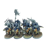 (CM25) Saurus Knights Regiment Seraphon Age Of Sigmar Warhammer