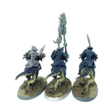 (CM25) Saurus Knights Regiment Seraphon Age Of Sigmar Warhammer