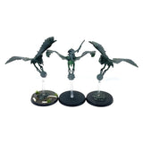 (CM05) Terradon Riders Pack Seraphon Age Of Sigmar Warhammer