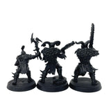 (4553) Untamed Beasts Warband Slaves To Darkness Age Of Sigmar Warhammer