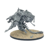 (CF47) Gothizzar Harvester Ossiarch Bonereapers Age Of Sigmar Warhammer